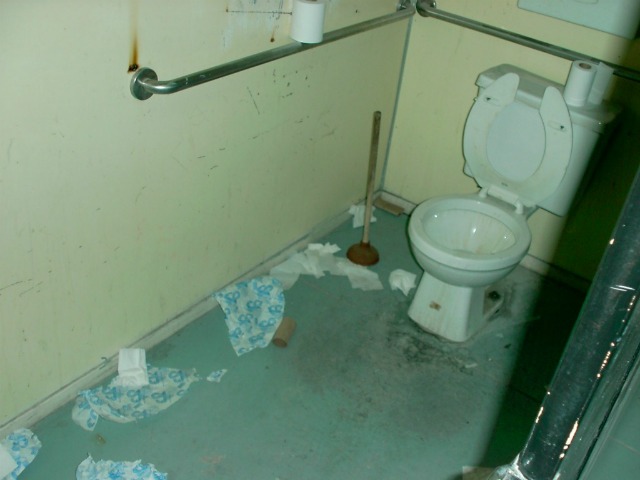In search of a toilet
